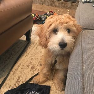 Meet your Posher, Yvette